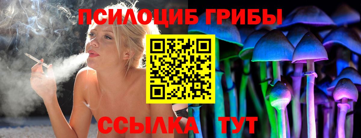Галлюциногенные грибы Psilocybine cubensis Подольск